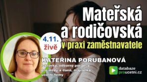 Mateřská a rodičovská dovolená v praxi zaměstnavatele – online seminář